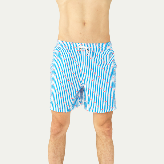 Ajolote Collection  | Premium Swim Trunks